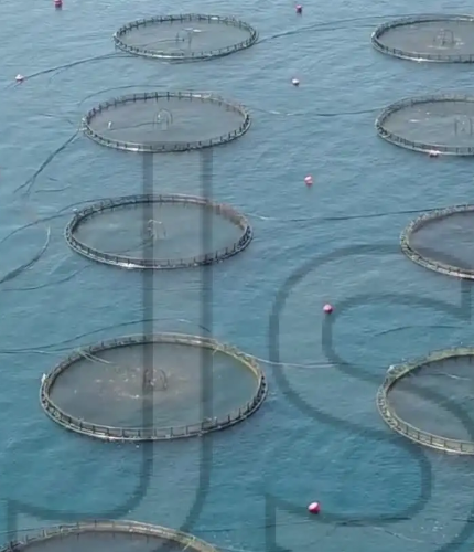 江西麥文信息科技有限公司