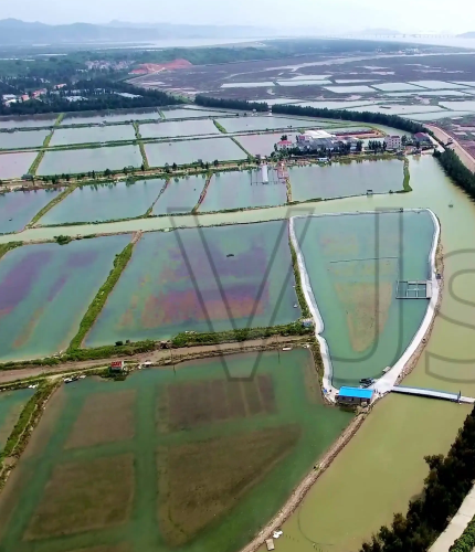 江西麥文信息科技有限公司