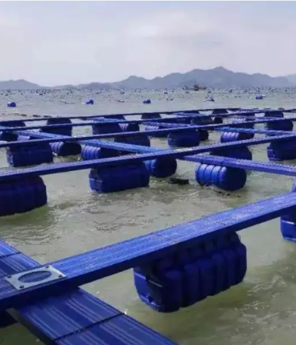 江西麥文信息科技有限公司