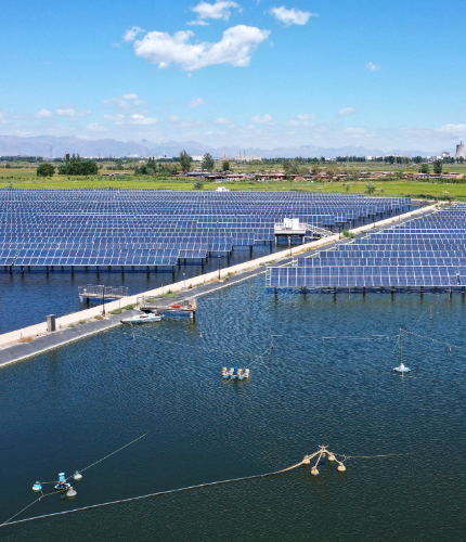 江西麥文信息科技有限公司