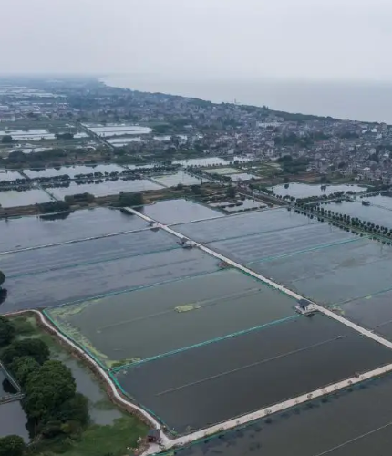 江西麥文信息科技有限公司