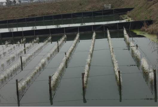 江西麥文信息科技有限公司