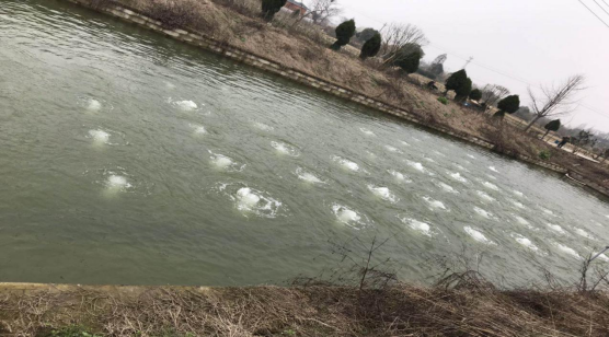 江西麥文信息科技有限公司